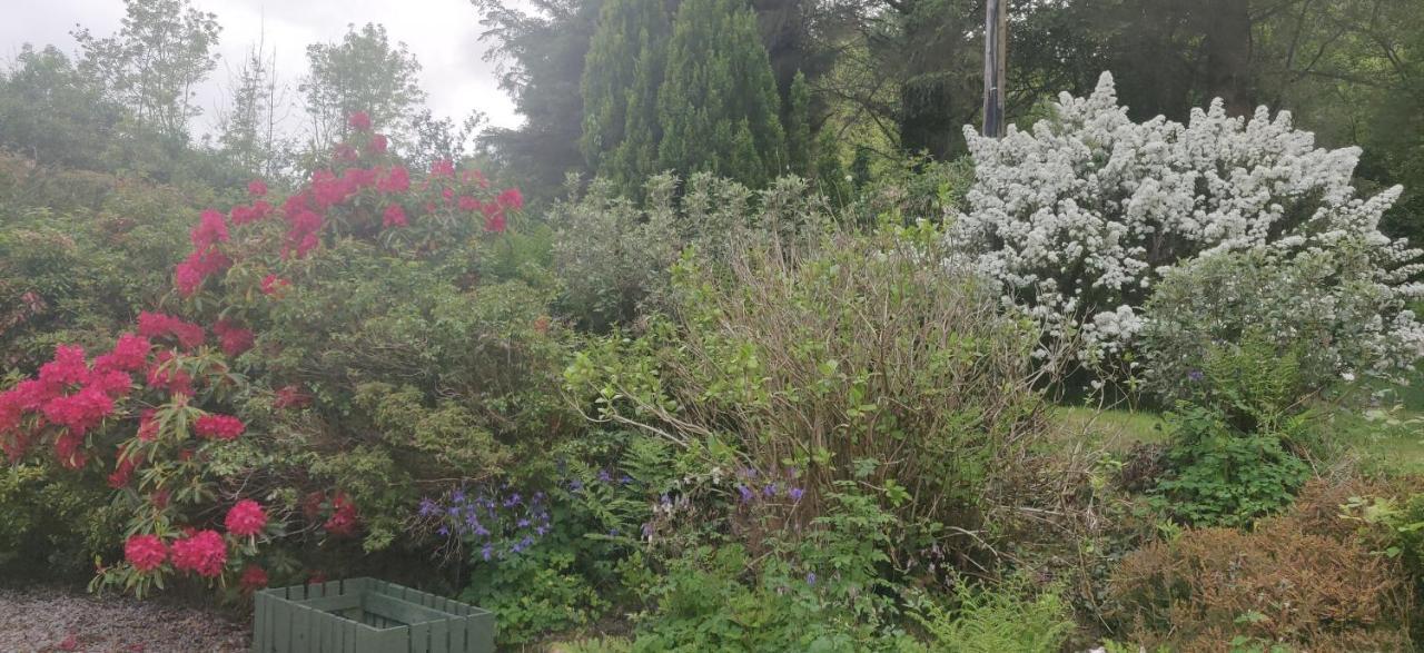Leenan View Country House Hostal Portsalon Exterior foto