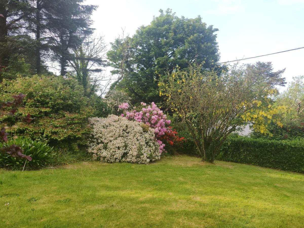 Leenan View Country House Hostal Portsalon Exterior foto